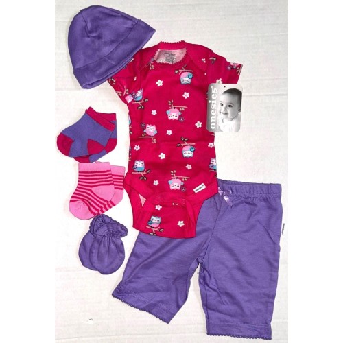 GERBER ONESIES 6 piece set purple/pink OWL motif size small NEWBORN