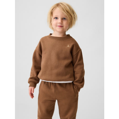 Baby & Toddler VintageSoft Colorblock Sweatshirt