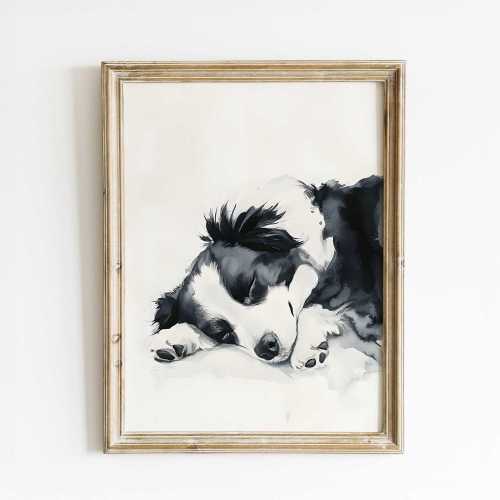 Sleeping Border Collie Watercolor Print – Black and White Dog Art – Animal Fine Art for Pet Lovers – Minimalist Dog Wall Decor