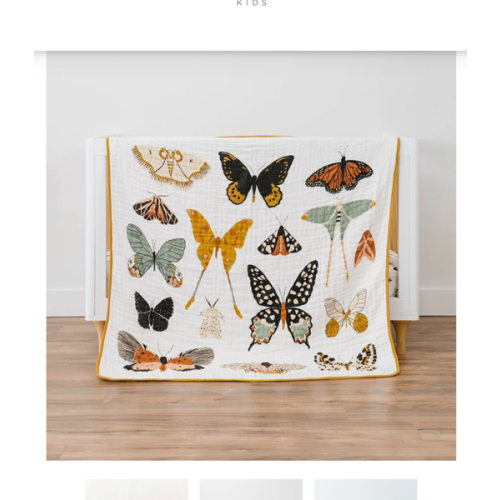 Butterfly Essential Bundle