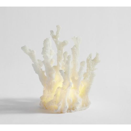 Lit Coastal Object, Finger Coral - White