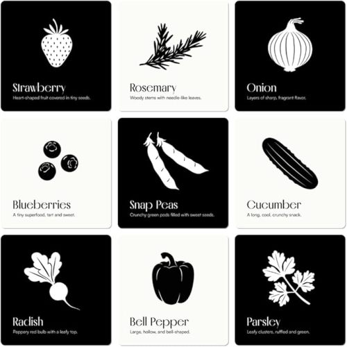 Garden for Baby Black and White Cards by Chunky Deli | High Contrast Sensory Toy for Newborn Visual Stimulation & Tummy Time | 10 Laminated Infant Learning Cards | Unique Foodie