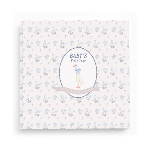 Little Goose Baby Memory Book by Lucy Darling