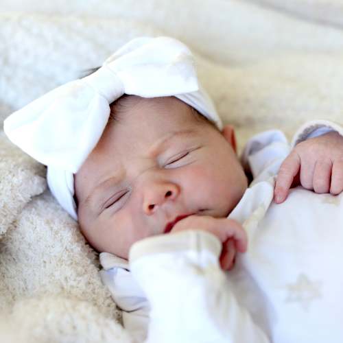 Magen Dreams Bow