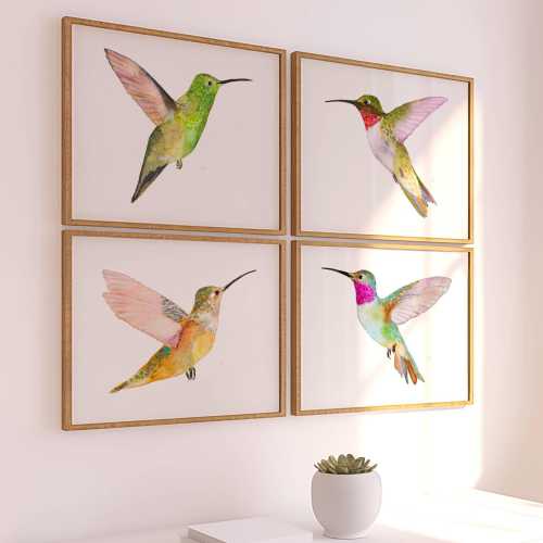 Vibrant Watercolor Hummingbird Art Print Set of 4, Rofous, Berylline, Broad-Tailed, Ruby-Throated Hummingbirds Decor, Colorful Bird Painting