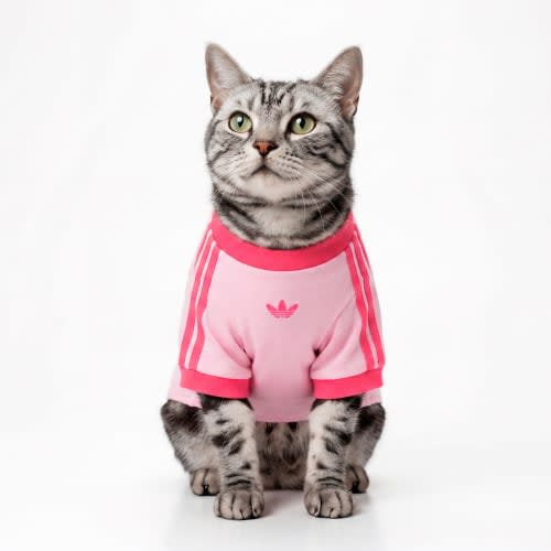 PET CALI TEE