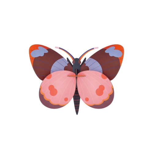 Bellissima Butterfly - Studio ROOF