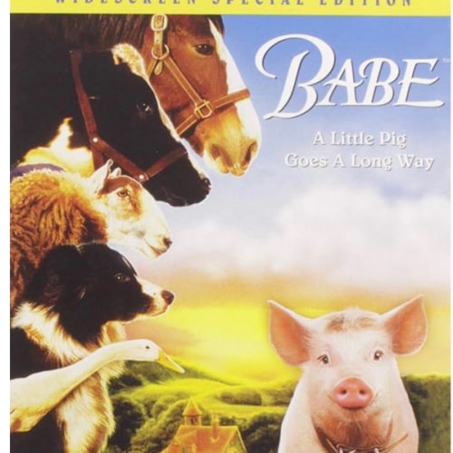 Babe