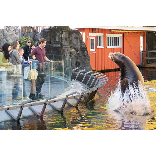 Become a Member For Unlimited Entry & More | Vancouver Aquarium