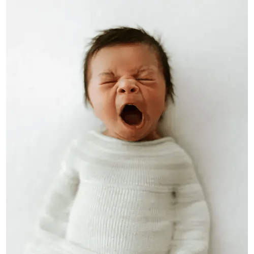 Swaddelini Sleep Sack: Size Large