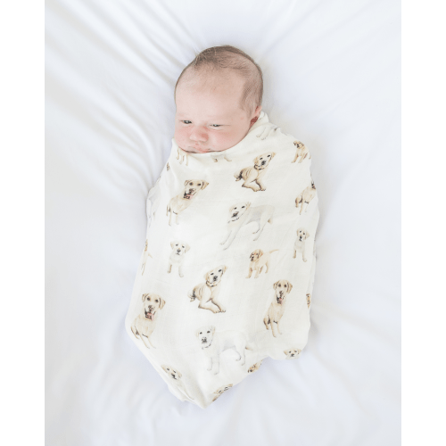 Yellow Labs - Swaddle
