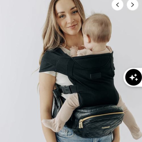 2-in-1 Convertible Carrier
