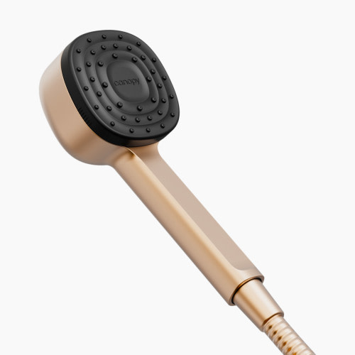 Canopy Handheld Filtered Showerhead - Brushed Brass