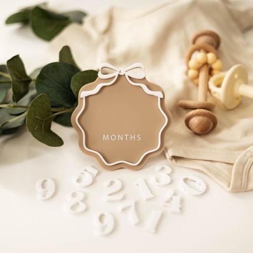 Interchangeable Acrylic Bow Monthly Milestone Markers | Matching Birth Announcement Sign | 1 Month-1 Year Milestone Markers |Baby Photo Prop