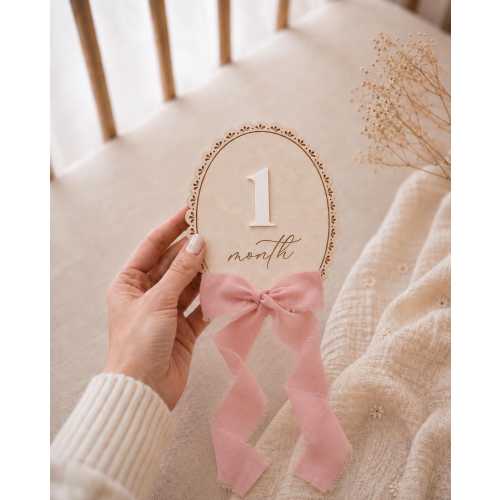 Baby Monthly Milestone Sign with Ribbon Bow, Two Wood Signs for Month and Months with Acrylic Numbers, Nursery Photo Prop, Baby Shower Gift