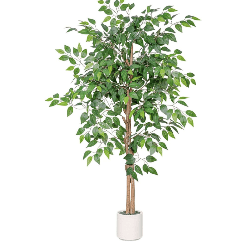 Fake Ficus Tree