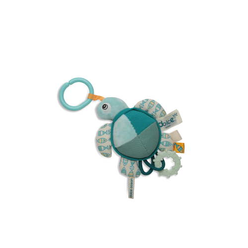 Dolce Flippy the Turtle