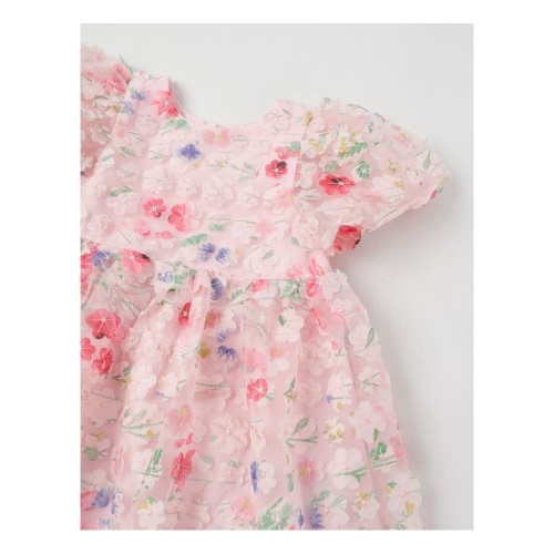 Lulu Newborn Floral Applique Dress in Pink