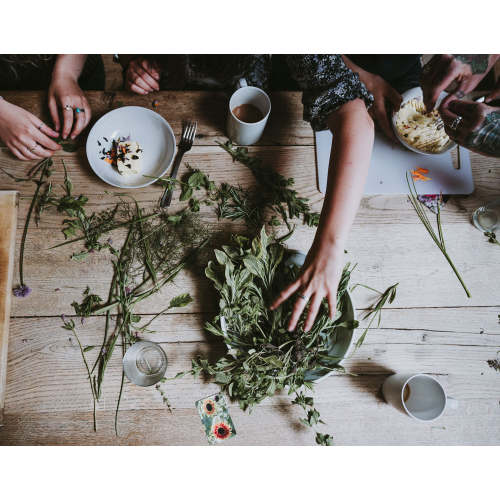 Soothing Sitz Bath – Rebecca's Herbal Apothecary