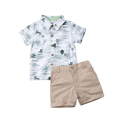 VISGOGO Toddler Baby Boy Flamingo Short Sleeve Button Down Shirt & Casual Shorts Set Summer Outfits 1-6 Years Clothes