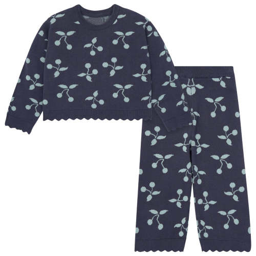 2-Piece Baby Girls Blue Fruit Jacquard Seater Knit Top and Pant Set – Gerber Childrenswear