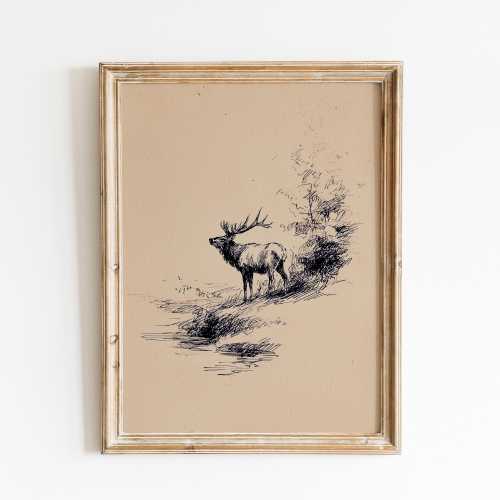 Vintage Elk Sketch Print | Vintage Deer | Minimal Forest Art | Rustic Wildlife Decor| Neutral Art | Woodland Animal Sketch | Hand Drawn Stag