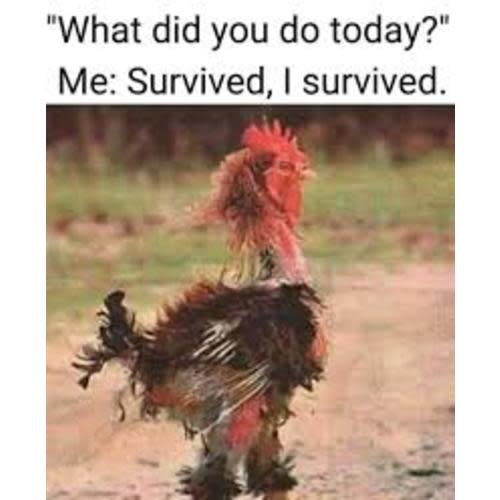 1st Weeks Survival Fund

*Supporting all the late night panic purchases from Amazon*