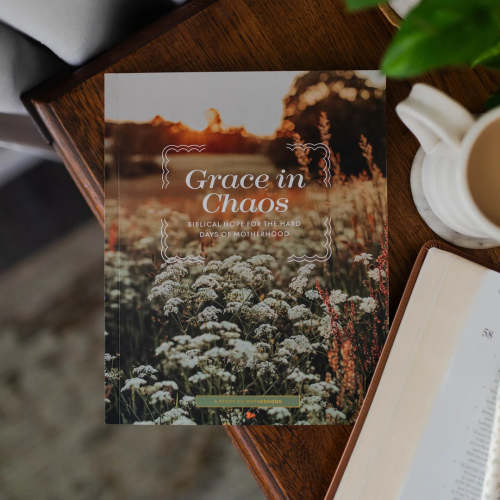 Grace in Chaos Motherhood Bible Study | TDGC – The Daily Grace Co.