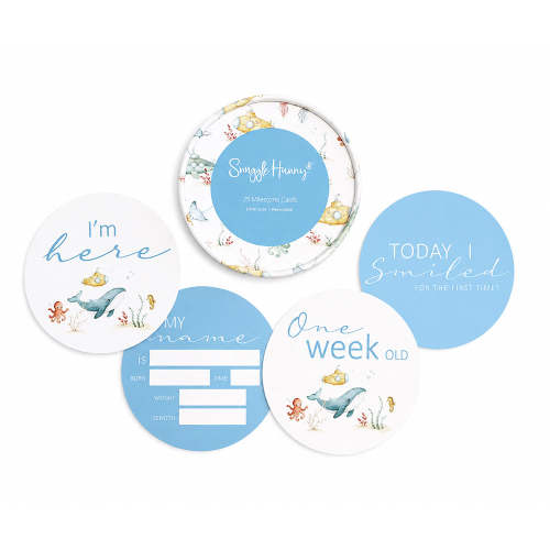 Little Subs & Aqua Reversible Milestone Cards