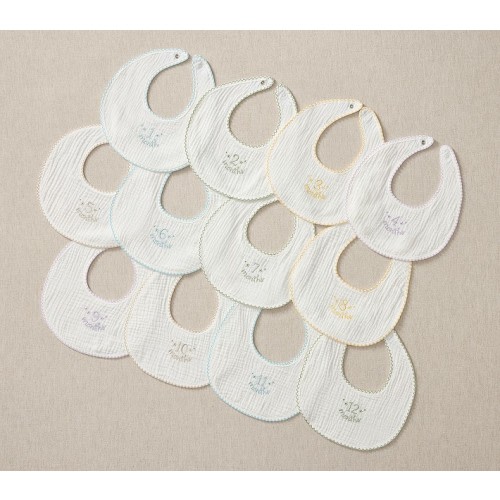 Baby's First Months Milestone Bib Set of 12
