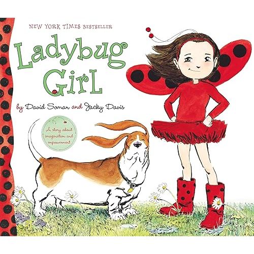 Ladybug Girl Book