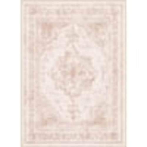 HaiiMeid Persia Pink 8 ft. x 10 ft. Vintage Medallion Distressed Area Rug X23IU0027H-781