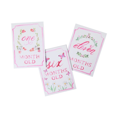 Baby Girl Monthly Milestone Card Set