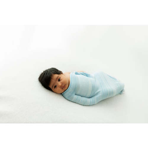 Blue Swaddle Sleep Sack – Swaddelini
