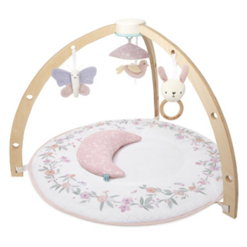 Buy Aden + Anais Activity Gym Ma Fleur at Well.ca | Free Shipping $35+ in Canada