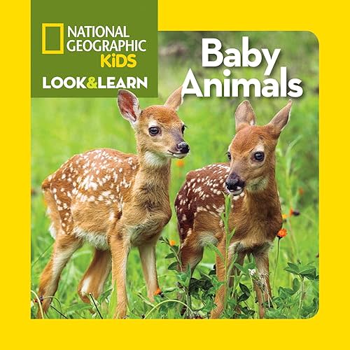 National Geographic Kids Look & Learn: Baby Animals Board book – Picture Book, February 11, 2014