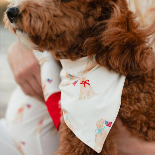 Dog Bandana in American Pup – Silks