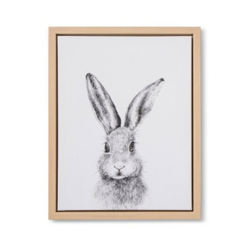 Framed Canvas Bunny