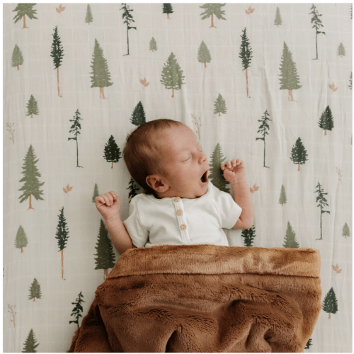 COTTON MUSLIN CRIB SHEETS, PINE