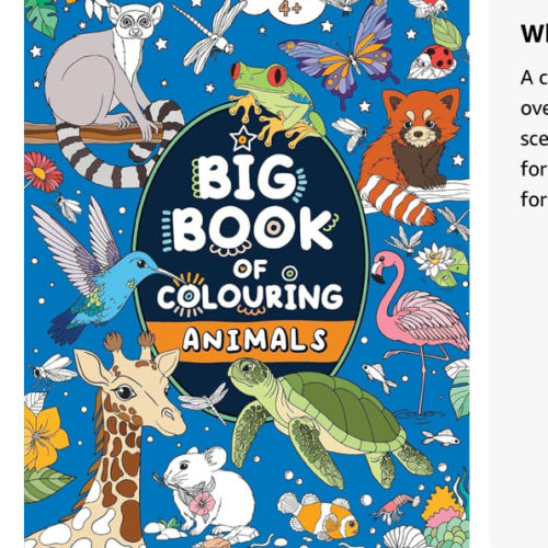 Big Book of Colouring: Animals: For Children Ages 4+ (Big Books of Colouring (Ages 4+))