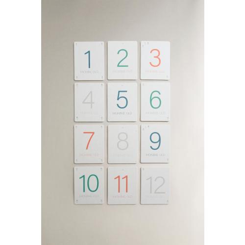 BABY MONTHLY MILESTONE KIT – 12 FLOWER CARDS - Multicolored | ZARA United States