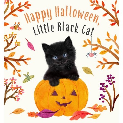 Happy Halloween, Little Black Cat - (Baby Animal Tales) by Amanda Wood (Board Book)