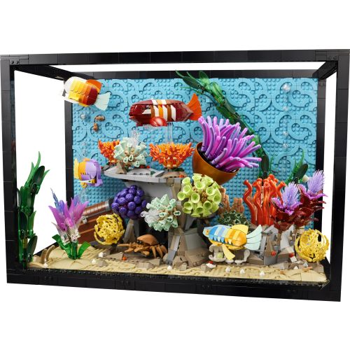 Tropical Aquarium