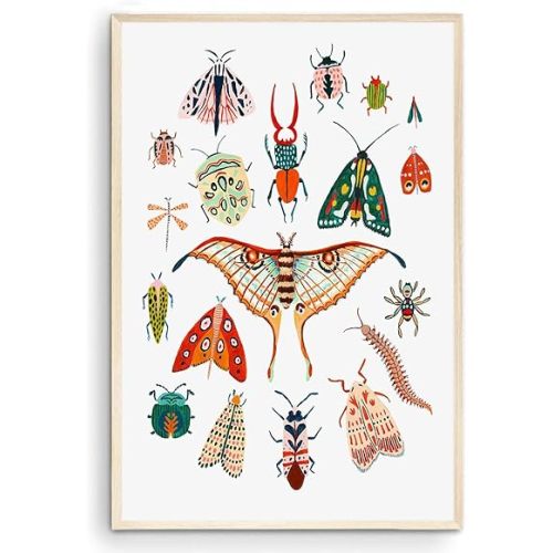 Nationcog Beetle & Moth Print, Butterfly Art, Bugs Wall Decor, Kids & Nursery Room, Woodland (Unframed, 11x14)