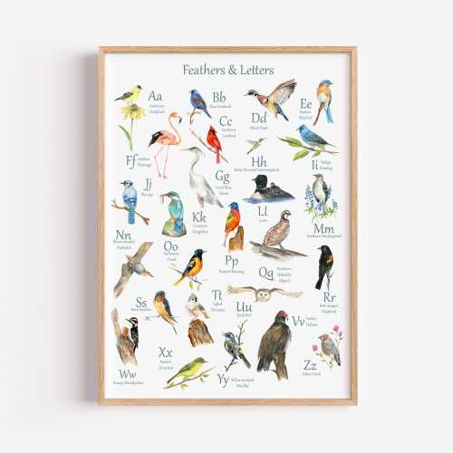 Alphabet Watercolor Bird Poster: ABC original artwork for nursery, office, school, home decor; unframed poster print