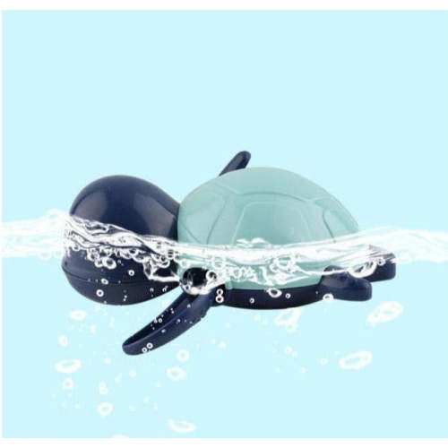 Turtle Thermometer