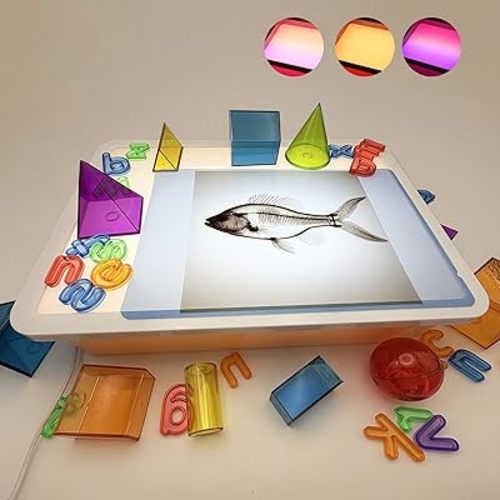 16" LED Light Box for Kids, Sensory Light Table, Portable Dimmable Light Box for Tracing, Alphabet Learning, Magna-Tiles, Diamond Painting Art, Home & Classroom (Orange 10 Levels,3 Color Modes)