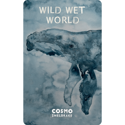 Wild Wet World (Digital)