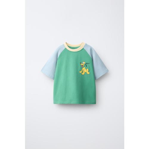 PLUTO© DISNEY RAGLAN T-SHIRT - Intense green | ZARA United States