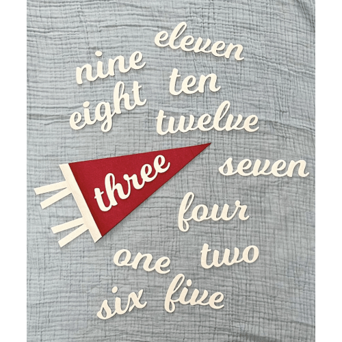 Monthly milestone felt pennant/baby felt pennant/ month by month pennant
(red and white)